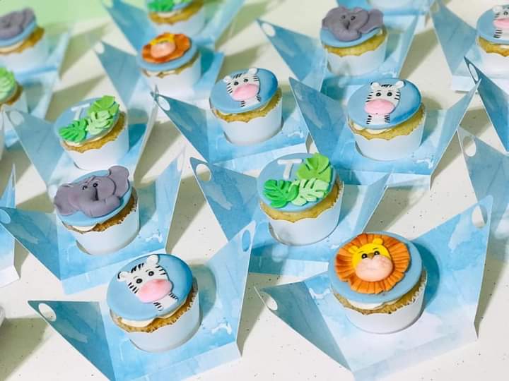 Cupcake boxes - Safari - Baby boy