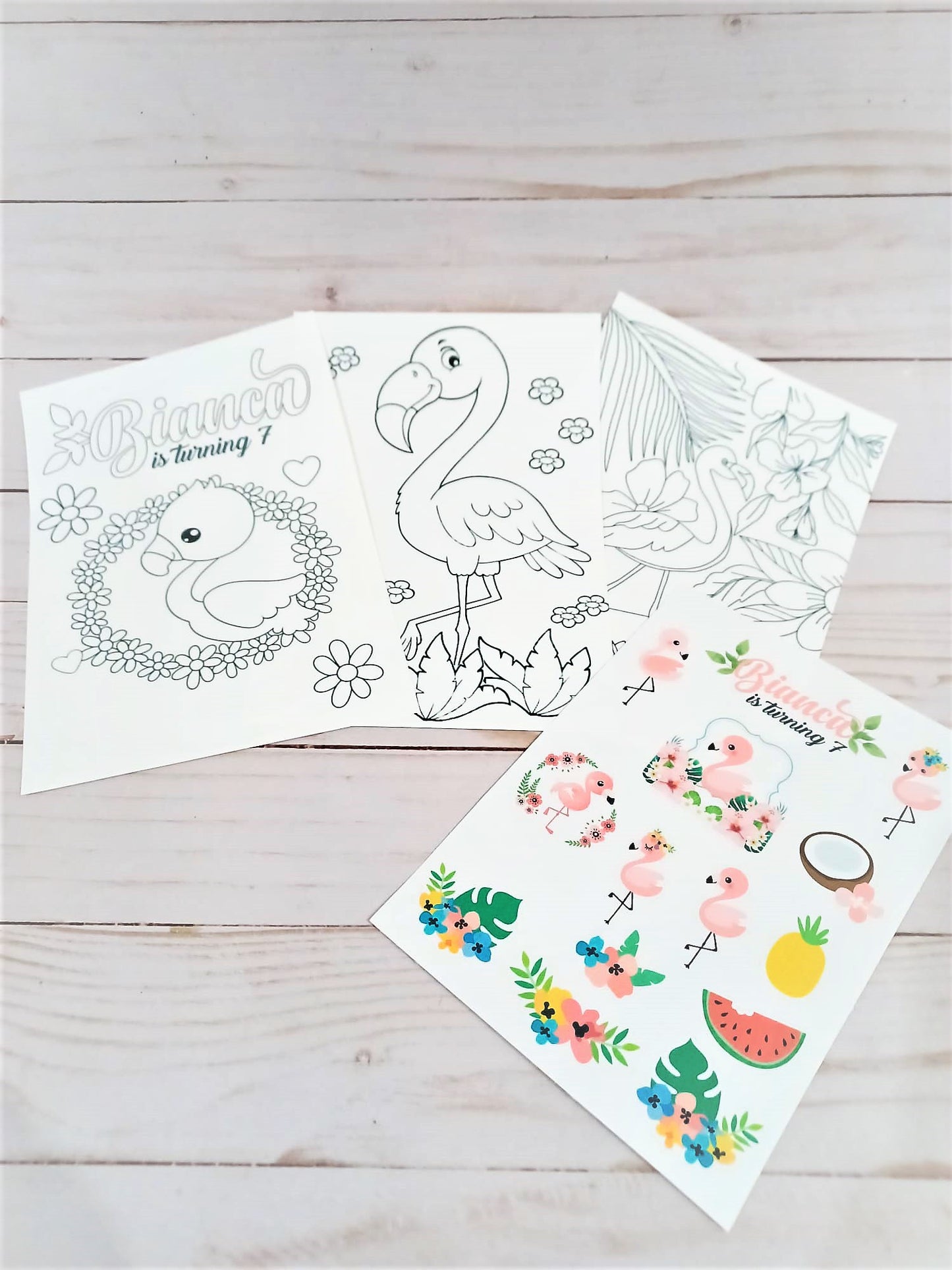 Coloring Kit - Flamingo