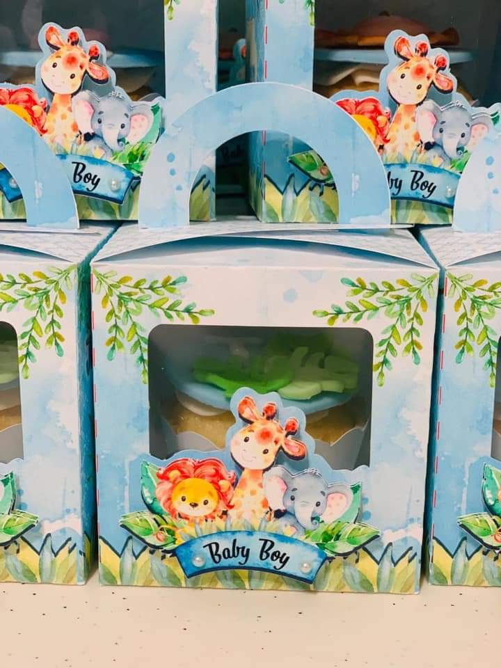 Cupcake boxes - Safari - Baby boy